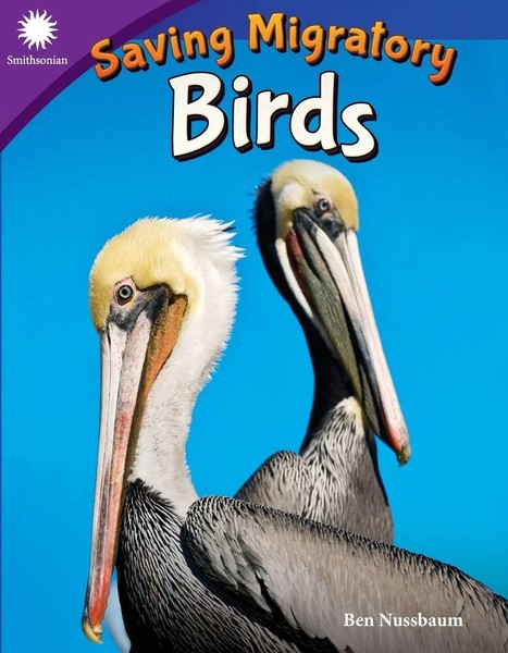 Saving Migratory Birds | Ben Nussbaum | Taschenbuch | Kartoniert / Broschiert-image
