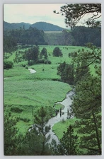 Placerville Camp Rapid Creek Valley South Dakota Photochrome Postcard