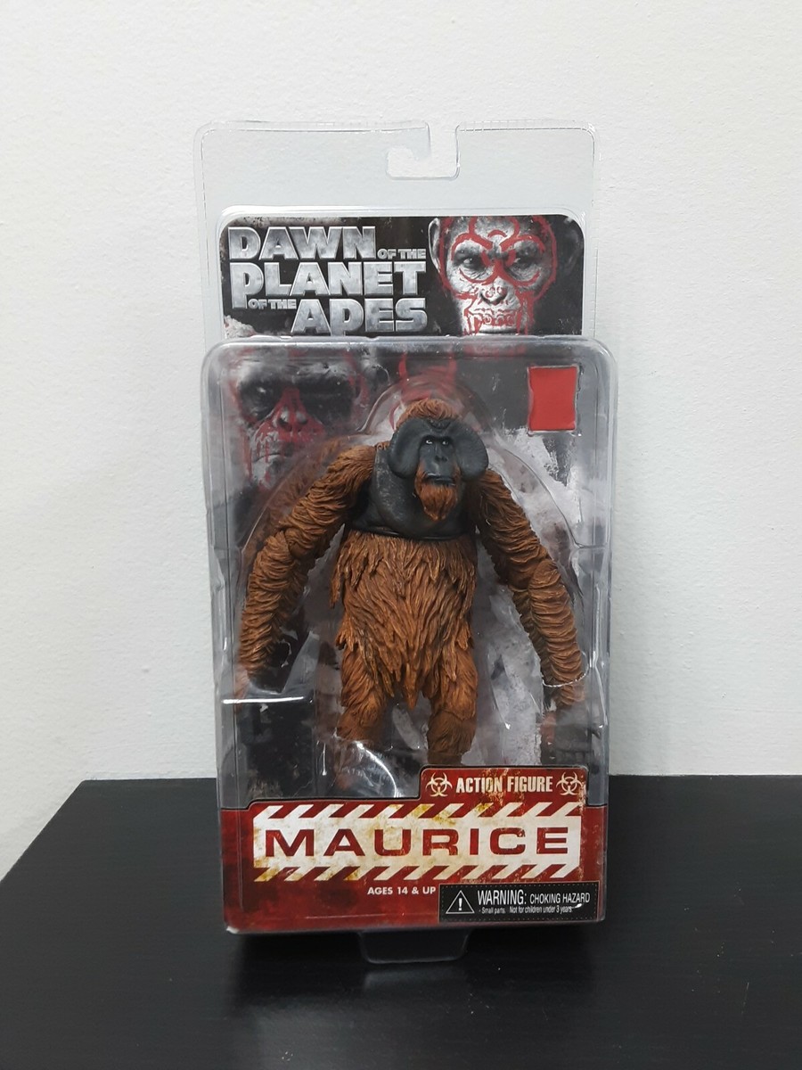 Maurice 6
