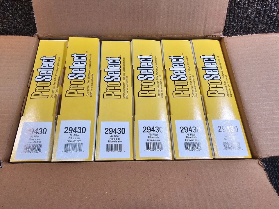 (CANTIDAD 6) Filtro de aire Napa ProSelect 29430 panel celulosa para 10-22 Lexus RX 350 Foto 2 de 4