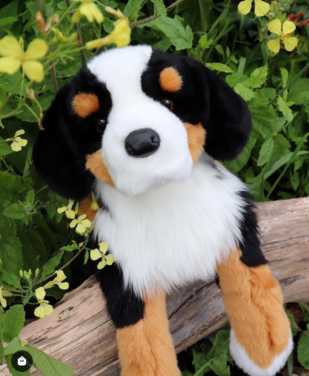 ぬいぐるみ バーニーズ(M) - DOUGLAS JAPAN Douglas Trooper