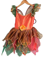 Halloween Royal Costumes Girl's Sz M 8-10 Fairy wing Photo Shoot Nature Cottage