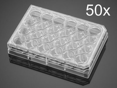 50/Pk Falcon 24-well Clear Flat Bottom TC-treated Multiwell Cell Culture Plate