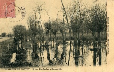 LE CROTOY card A Saulaie à Becquerelle mirror effect on the original trees