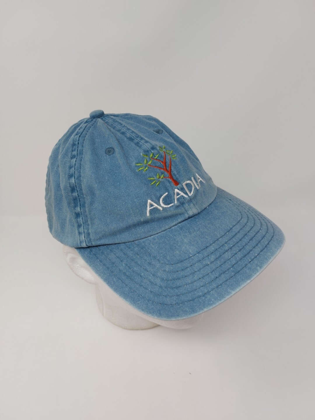 Acadia Strap Back Dad Hat Cap - image 3