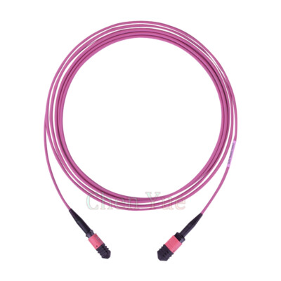 3M Fiber Optic Multimode OM4 8 Core MPO MTP Female Patch Cord Trunk Cable Type B