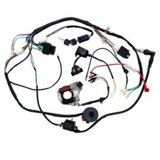 70CC 90CC 110CC 125CC ATV UTV Quad Electrics Wiring Harness Wire Go Kart Taotao