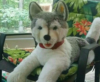 Steiff Molly husky dog 33 1/2