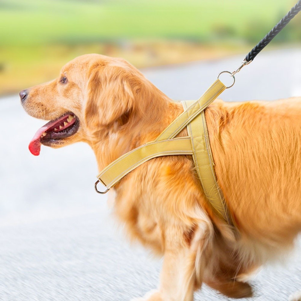 Pettorina per Cani Easy Fit con Manico Grande No Tirare Design Riflettente Notte foto 4