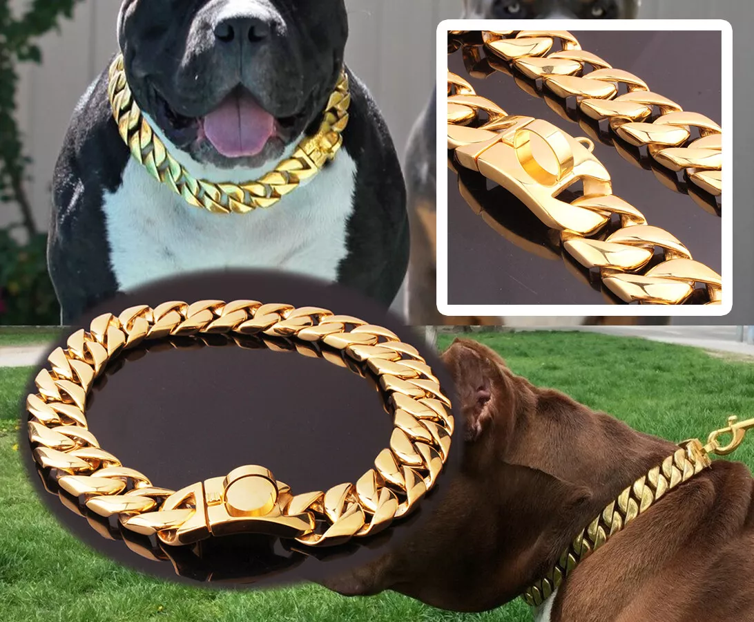 Stainless Steel Dog Chain Gold Dog Collar Choker Pet Supplies Accessory  Rope