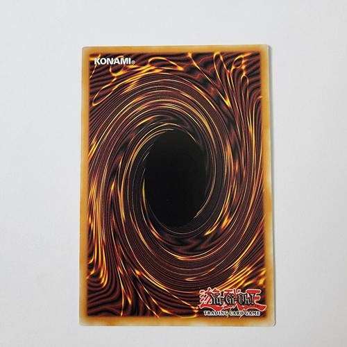Twin Twisters - SR04-EN024 - NM - Common - Yugioh - Dinosmasher's Fury - Picture 2 of 2