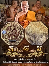 Octagonal Tiger Skin Amulet LP Chanai Magic Protection Wealth Power Talisman