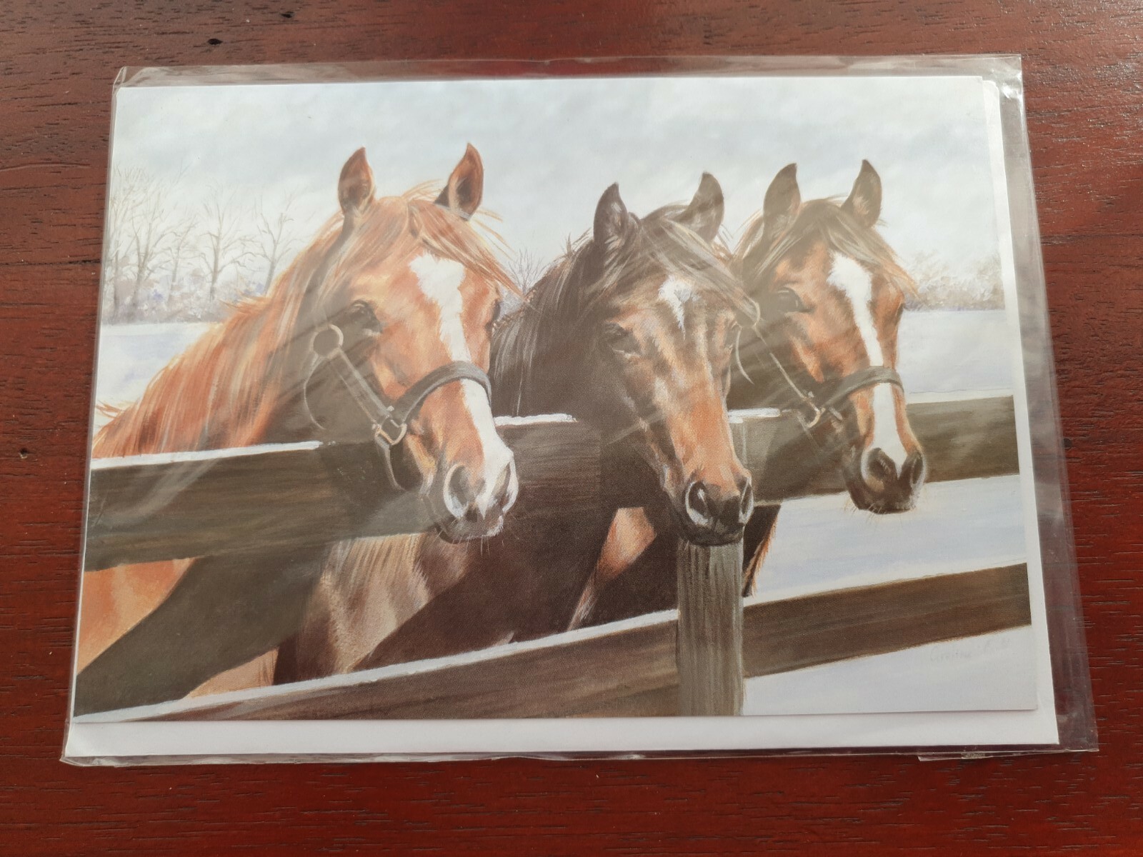 Horse Christmas card PONY greetings card ponies HORSES birthday card blank card
