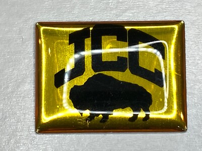 JCC Maccabi Games Jewish Youth Team Sports Epoxy Pin Buffalo New York NY Bison