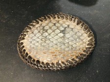 5 Rattlesnake Snake Skin Handmade Stitched Western Vintage Belt Buckle