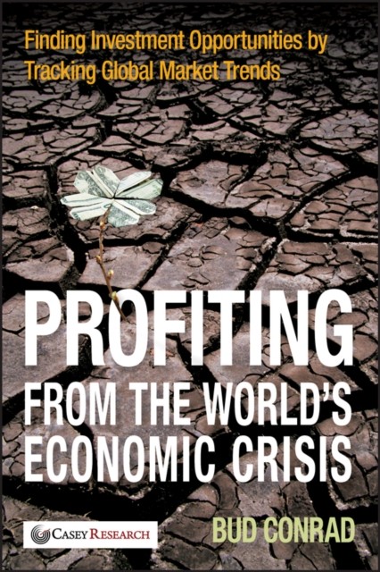 Profiting from the World′s Economic Crisis – Finding Investment Opportunities b…