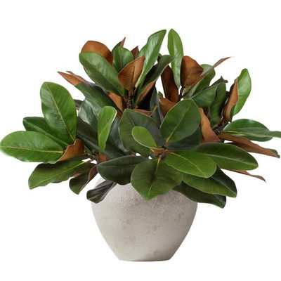 4Pcs 22Inch Artificial Magnolia Leaves with Stems Fake Magnolia Leaf Branch F...
