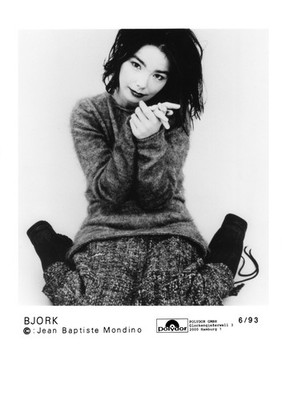 Björk - Promo Photo 1993 - Debut - Post - Vespertine - Fossora - Sugercubes