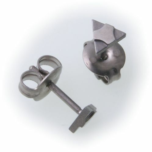 Earrings Studs made of Titanium Glossy partmatt