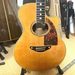Yamaha Apx 10 | eBay