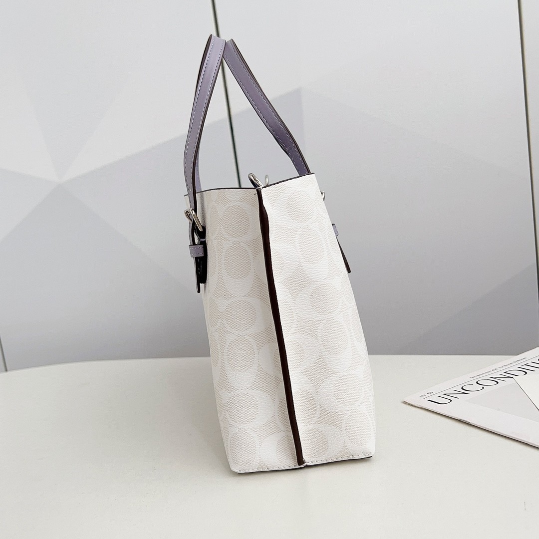 【レア】限定カラー 美品 COACH MOLLIE モリートート C4250 Coach C4250 Mollie Tote 25 in signature canvas Crossbody Beige