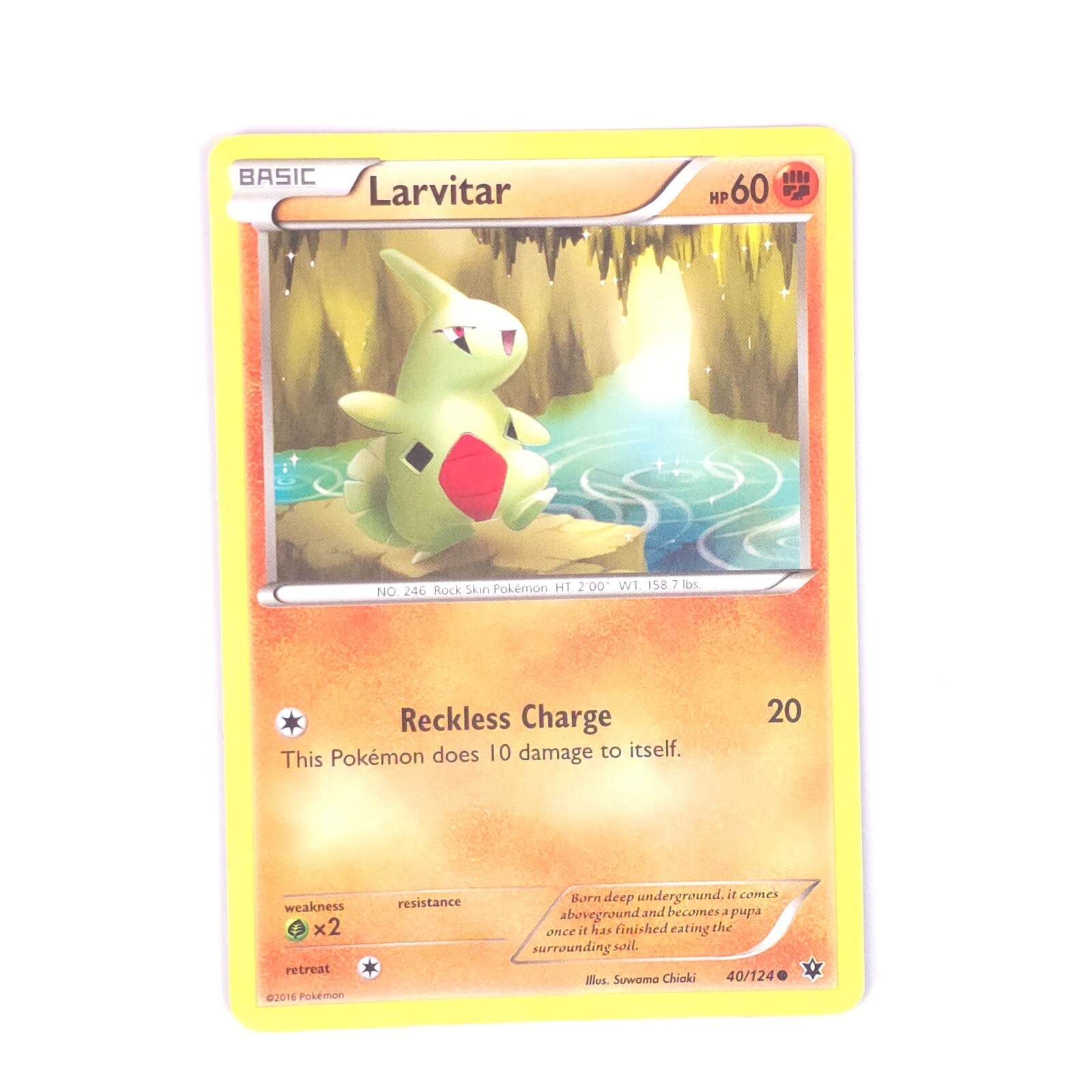 Larvitar 40/124 Pokemon XY - Fates Collide Common NM