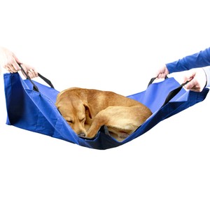 veterinary dog stretchers