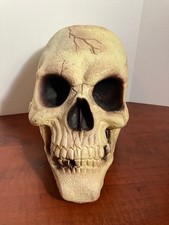 Large Realistic Foam Skull Halloween Prop 12" Rubber Latex Haunted House Decor