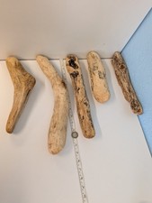 5021# FLAT DECRATIVE BUNDLE OF  DRIFTWOOD. IDEAL  COASTAL CRAFTING PIECES.SF.19