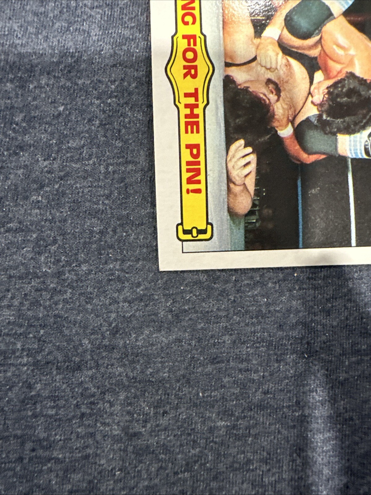 Picture 10 of 10