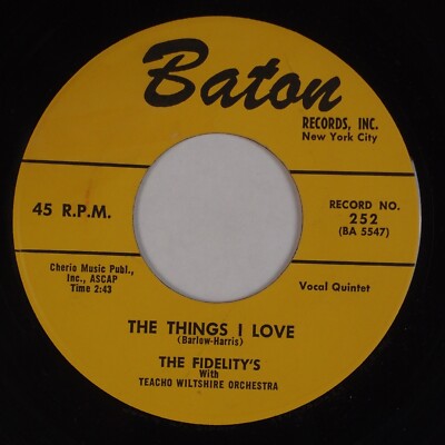 THE FIDELITYS: Hold On To What'cha Go US BATON 252 R&B Soul 45 NM-