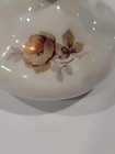 Bild 24 von 24