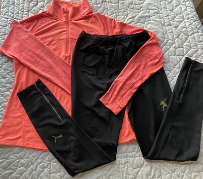 Athletic Pants And Top Size L Danskin/Puma