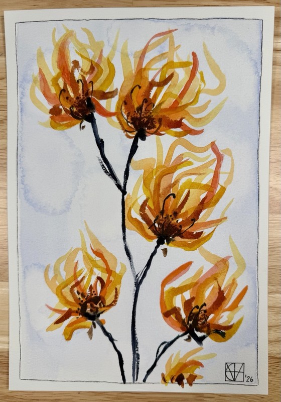 Painting by M. Hackney Abstract Chrysanthemum Watercolor Signed Original 7x10.2 