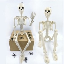 2 Pack 36 Inch Halloween Skeleton Decoration Posable Full Body Skeleton Prop