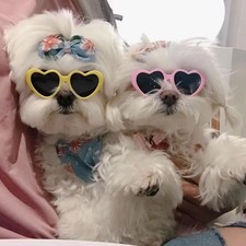 1PC Love shaped Dog Pet Mini Sunglasses Cute Pet Cat Dog Sunglasses Pet Beauty