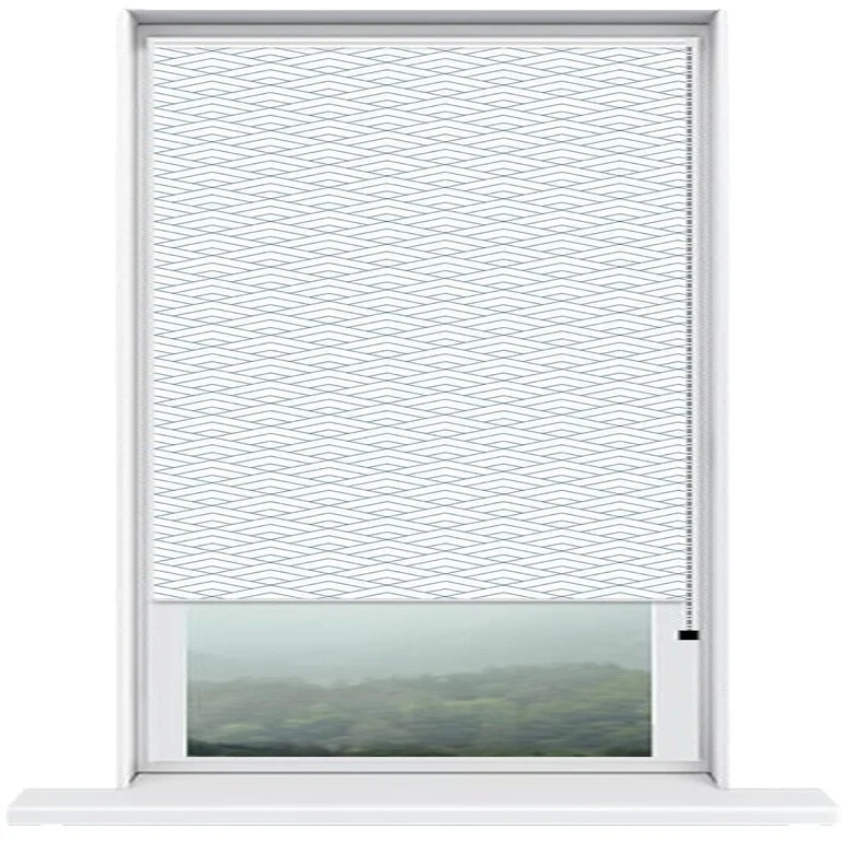 Modern Window Roller Shades