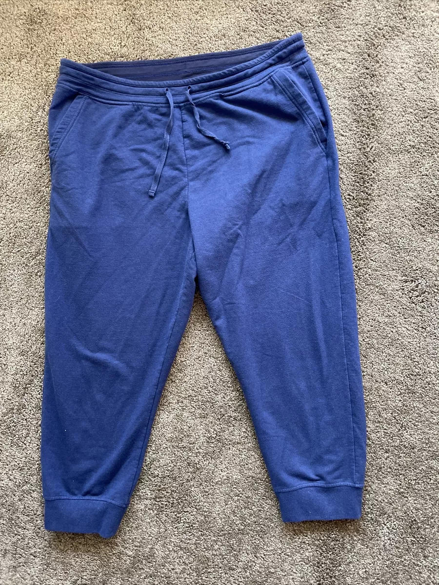 Patagonia Women's Ahnya Pants Blue Large Joggers Sweatpants