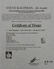 Foto 3 di 4