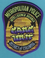 DISTRICT OF COLUMBIA METROPOLITAN POLICE  INTELLIGENCE BRANCH GANG UNIT PATCH