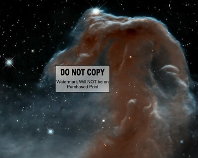 Nasa Horsehead Nebula - 8X10 NASA PHOTO #2004