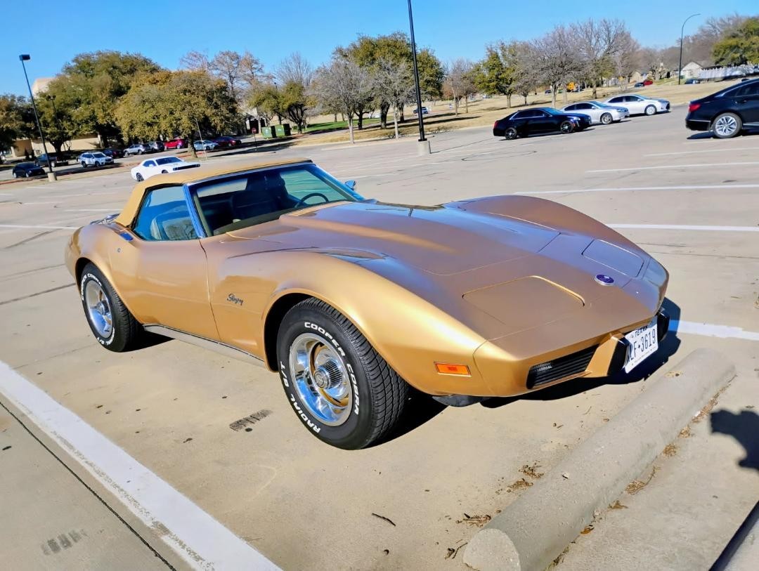 1975 Gold Chevrolet Corvette   | C3 Corvette Photo 3