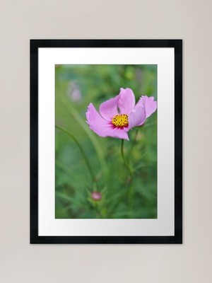Im Wind weht Gerahmtes Kunstdruck Gerahmtes Wandbild Poster Leinwanddruck Bild