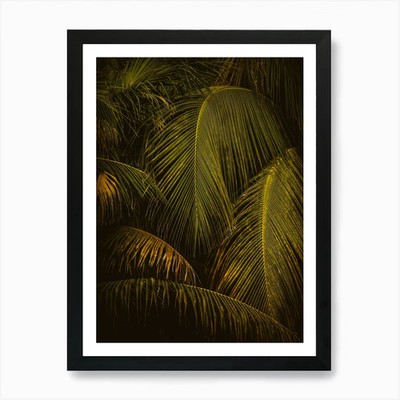 Mexiko Palmen Andreas Danner Cr gerahmtes Wandbild Poster Leinwanddruck Bild