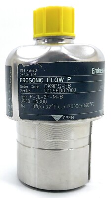 Endress+Hauser Flow P DK9PS-FB P-CL-2F-M-B Prosonic