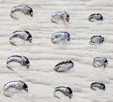 Fly fishing flies (nymphs) 12 caddis patterns size  14,16,18 - Gray, flash back