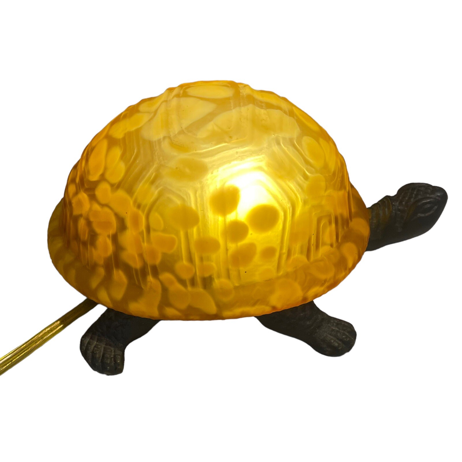 tortoise light at night
