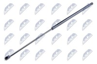Nty Gasfeder, Koffer-/Laderaum AE-RE-044 FüR Renault