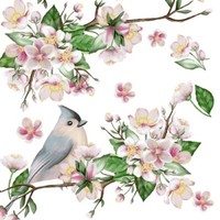 20 Servietten Bird Lyrics Vogel Tiere BlüTen Zweige Obstbaum Garten Deko 33X33Cm