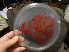 Innova new rare 2018 USDGC XXL Prehistoric Roc Head Rancho ROC - Clear Ice 180g